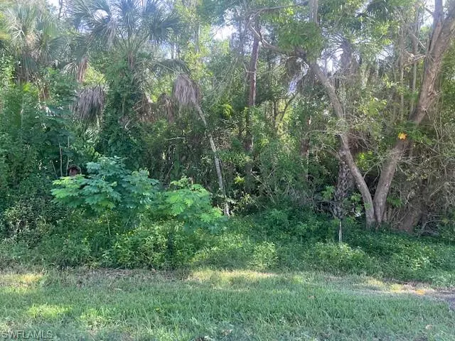 Naples, FL 34112,Lot 24 TBD Pine Tree DR