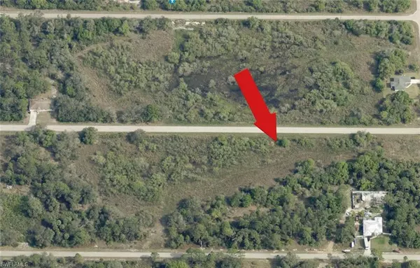 Lehigh Acres, FL 33972,1407 Williams AVE