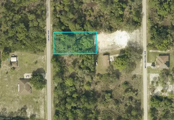 Lehigh Acres, FL 33972,1408 Grant AVE