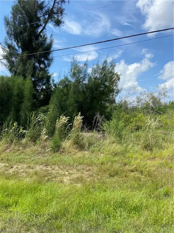 Cape Coral, FL 33991,1824 SW Embers LN