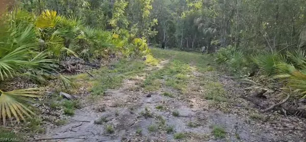 Wauchula, FL 33873,Peace River Woods