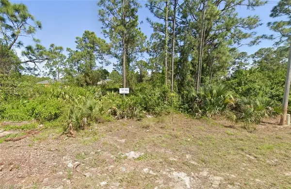 Lehigh Acres, FL 33971,2918 Flora AVE N