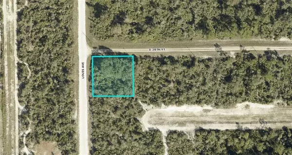 4184 E 28th ST, Alva, FL 33920