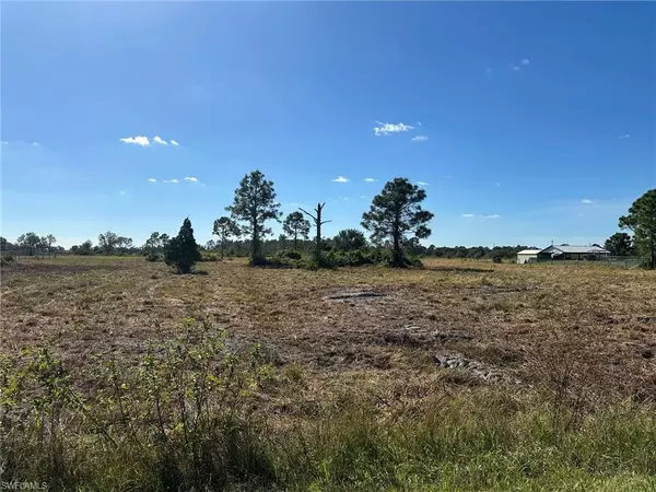 Labelle, FL 33935,23915 Dixie RD