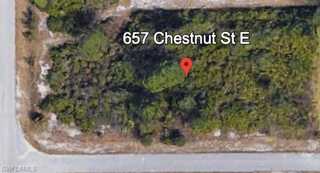 657/659 CHESTNUT ST E, Lehigh Acres, FL 33974