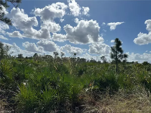 Labelle, FL 33935,7825 1st TER