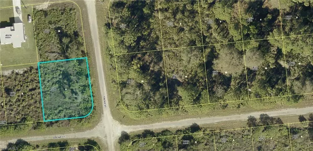 Lehigh Acres, FL 33972,676 Sabina CT