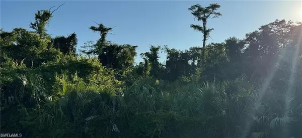 Naples, FL 34117