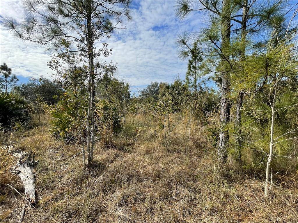 Lehigh Acres, FL 33972,910 North AVE