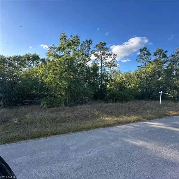 Lehigh Acres, FL 33936,203 Wellington AVE