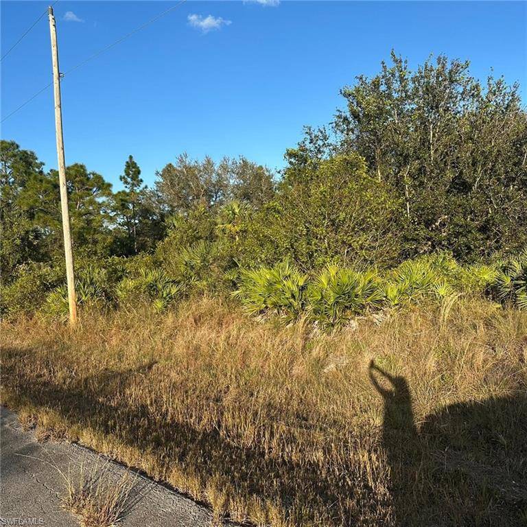 Lehigh Acres, FL 33936,312 Wells AVE
