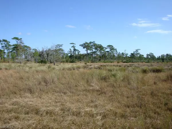 Frostproof, FL 33843,0 Inaccessible River Rnch