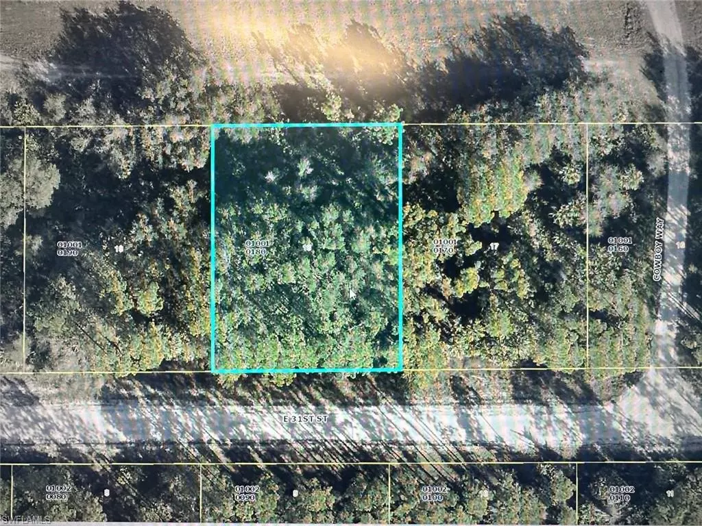 Alva, FL 33920,4215 E 31st ST