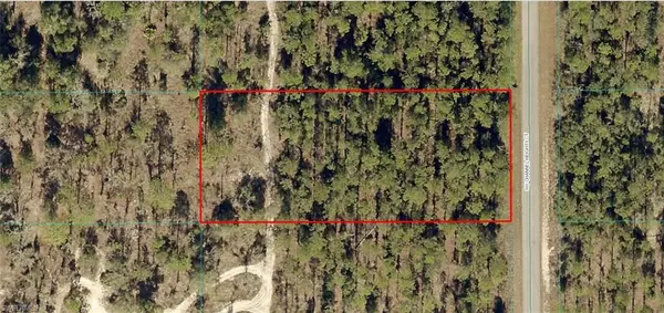 1805-006-007 SW Channel Heights CT, Dunnellon, FL 34431