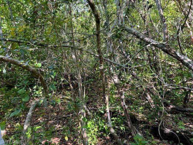 Everglades City, FL 34139,0 No Access Road