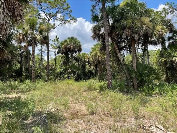 Labelle, FL 33935,408 Valleybrook DR