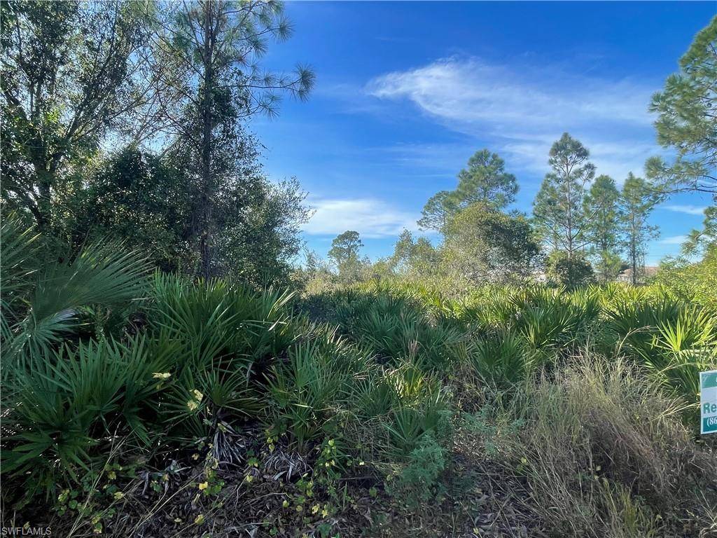 Lehigh Acres, FL 33974,402 Eisenhower BLVD