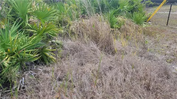 Lehigh Acres, FL 33974,769 Ferndale AVE S