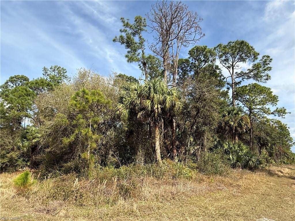 Clewiston, FL 33440,785 S Isora ST