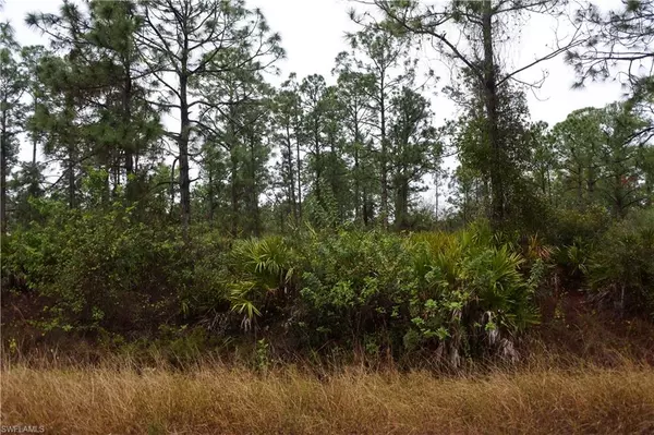 Lehigh Acres, FL 33972,811 State AVE