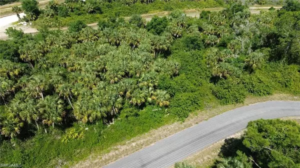 Lehigh Acres, FL 33972,1989 Walcott LOOP