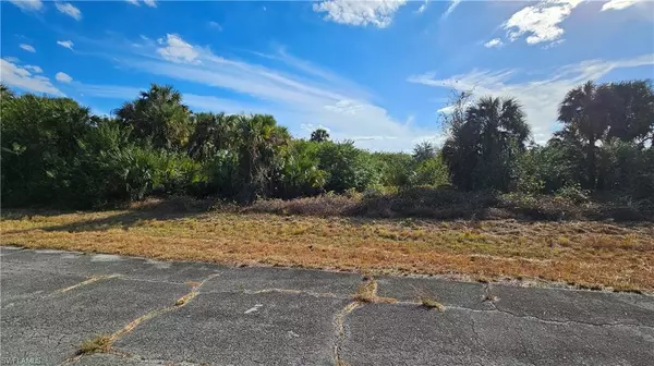 Labelle, FL 33935,811 Opal CT