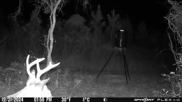 Marianna, FL 32448,00 Old Spanish