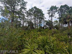 Fort Myers, FL 33905,3814 Kittyhawk DR