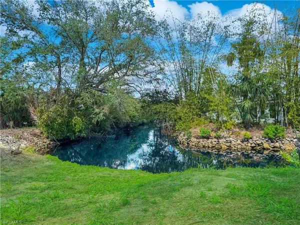 Bonita Springs, FL 34135,9781 Montana CT