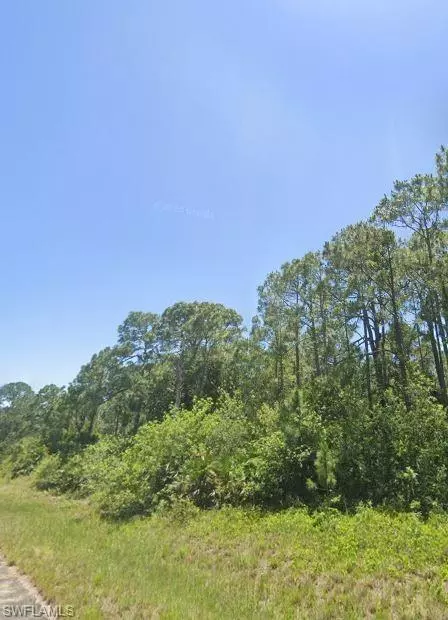 Labelle, FL 33935,849 Morning LN