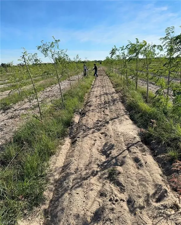 Labelle, FL 33935,4276 2nd RD