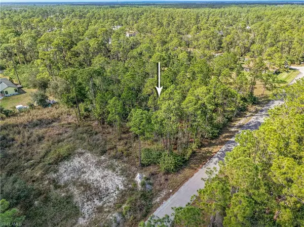 Alva, FL 33920,2017 Grant AVE