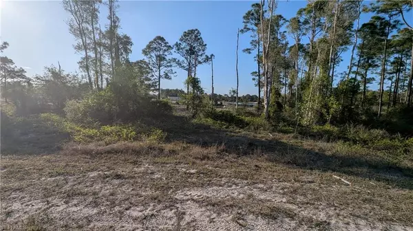 Lehigh Acres, FL 33974,461 Burrstone DR