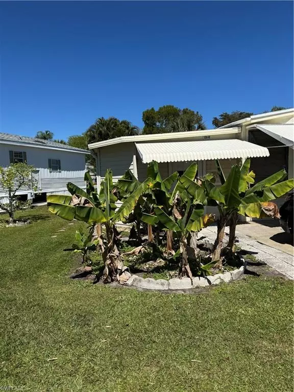 Estero, FL 33928,10848 Bonapartes Gull