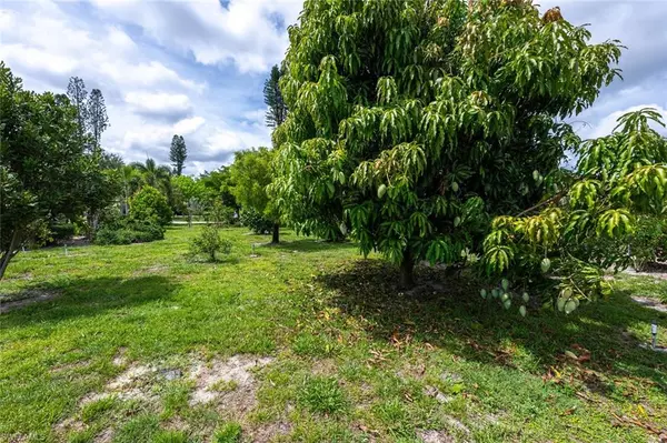 Bonita Springs, FL 34135,11076 Orangewood DR