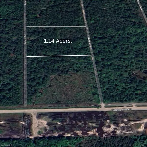 Hastings, FL 32145,0 N Opal AVE