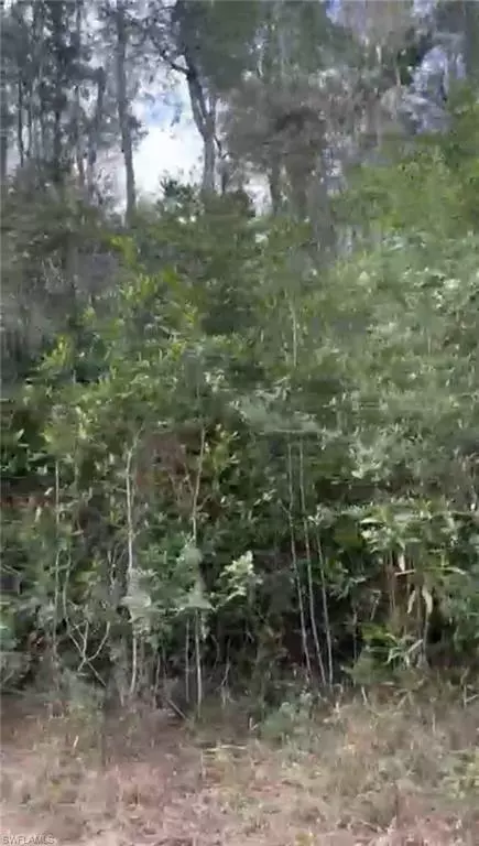 Lehigh Acres, FL 33974,308 Kerrsdale CIR