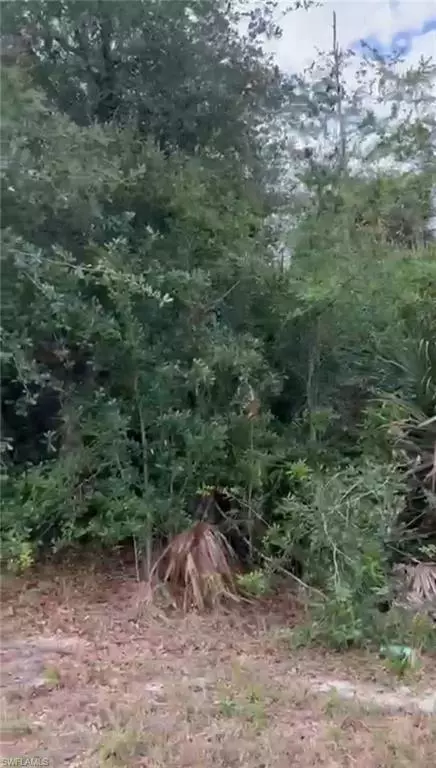 Lehigh Acres, FL 33974,308 Jourferie RD