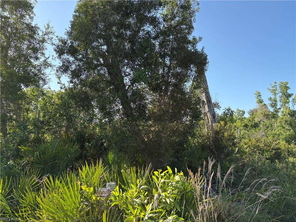 Bokeelia, FL 33922,5664 Sandal LN