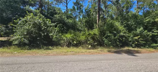 110 Wellington AVE, Lehigh Acres, FL 33936