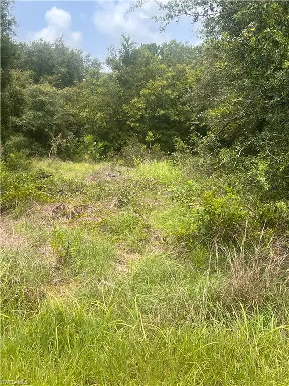 Lehigh Acres, FL 33972,Address not disclosed