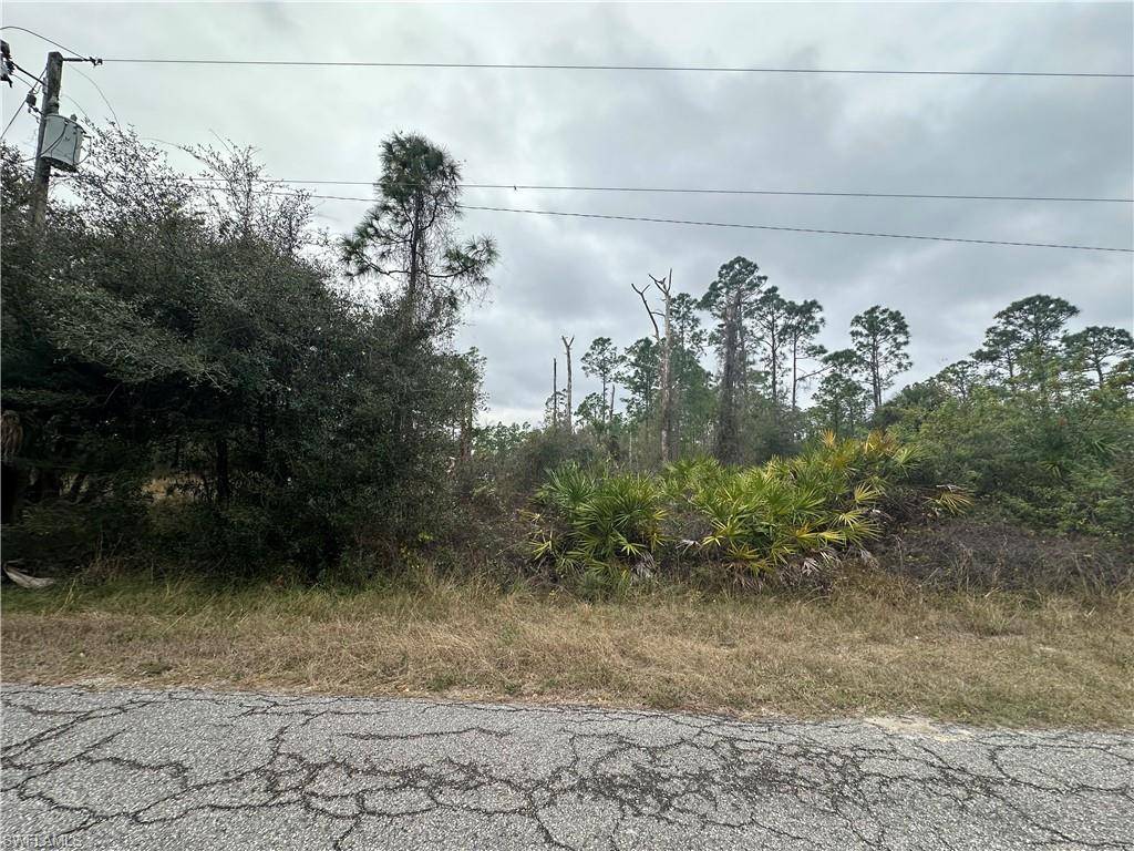 Lehigh Acres, FL 33972,1307 Scott AVE
