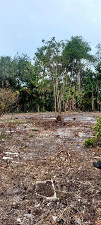 Bonita Springs, FL 34135,27021 Leitner LN