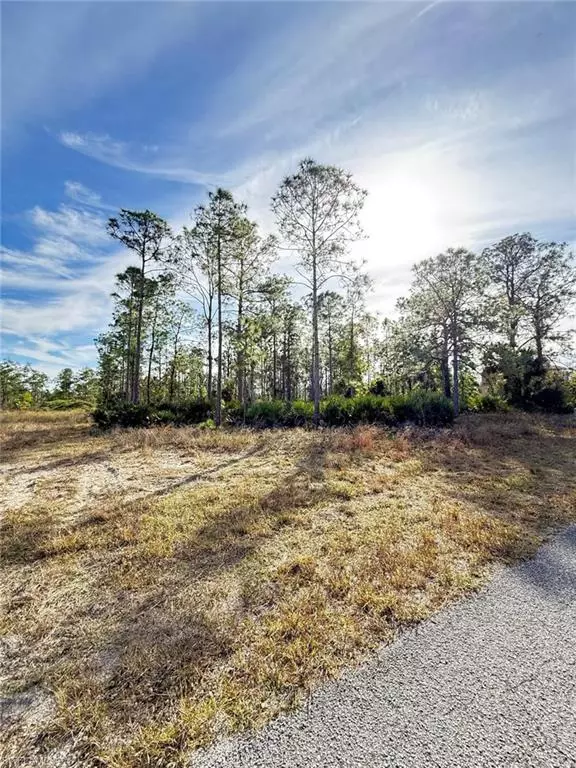 Labelle, FL 33935,175 N Concord TER