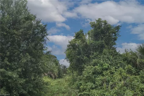 Lehigh Acres, FL 33974,301 Rawlings AVE