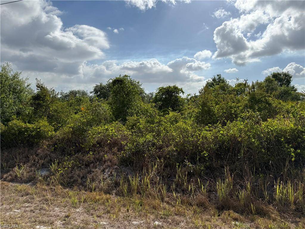 Clewiston, FL 33440,555 S Live Oak ST
