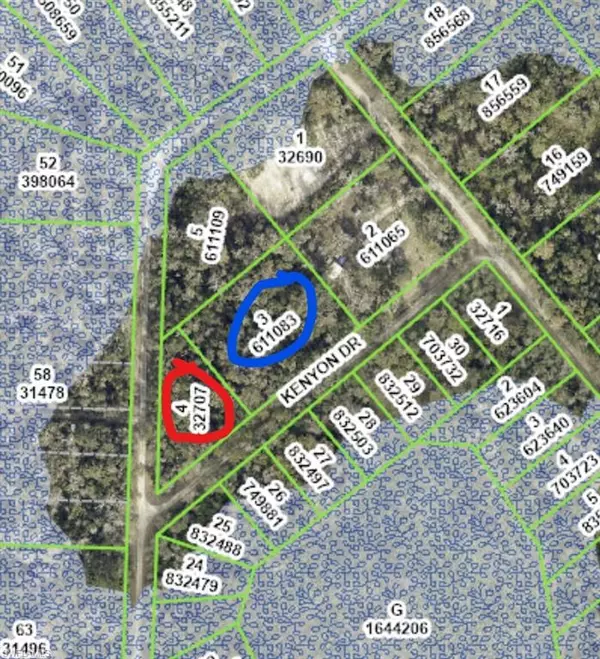 Webster, FL 33597,0 Kenyon DR