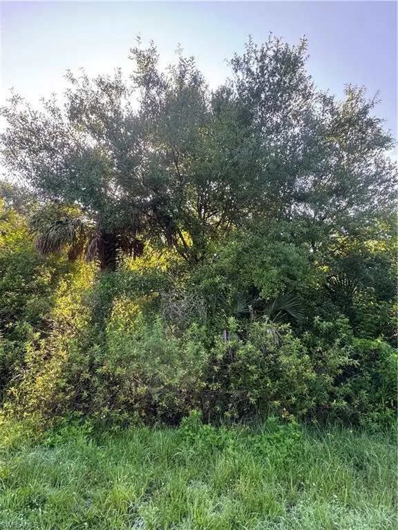 Clewiston, FL 33440,655 S Estribo ST