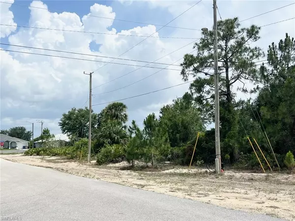 Lehigh Acres, FL 33974,328 Petite AVE