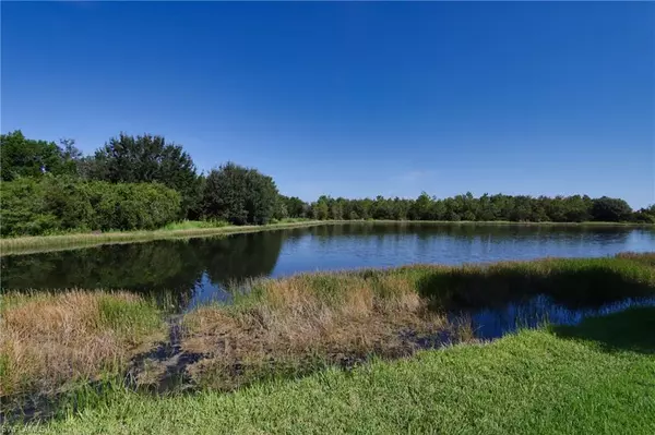 Estero, FL 33928,20528 Torre Del Lago ST